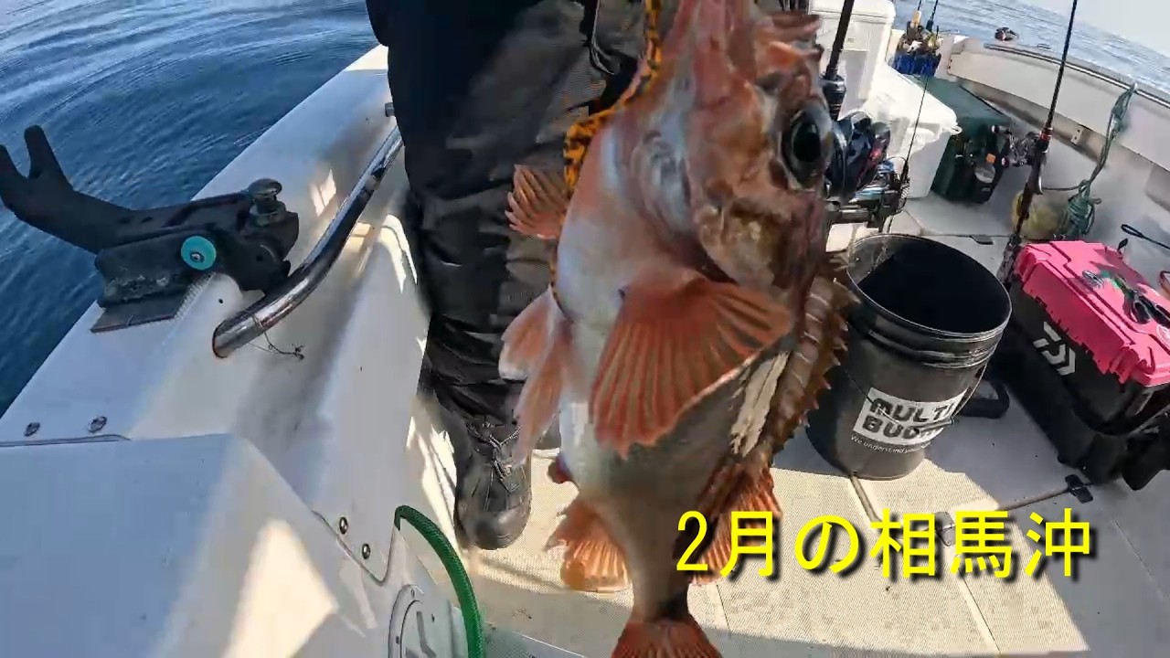 初めてのタイラバロッド】ボートジギングやタイラバで魚を狙う！沖に