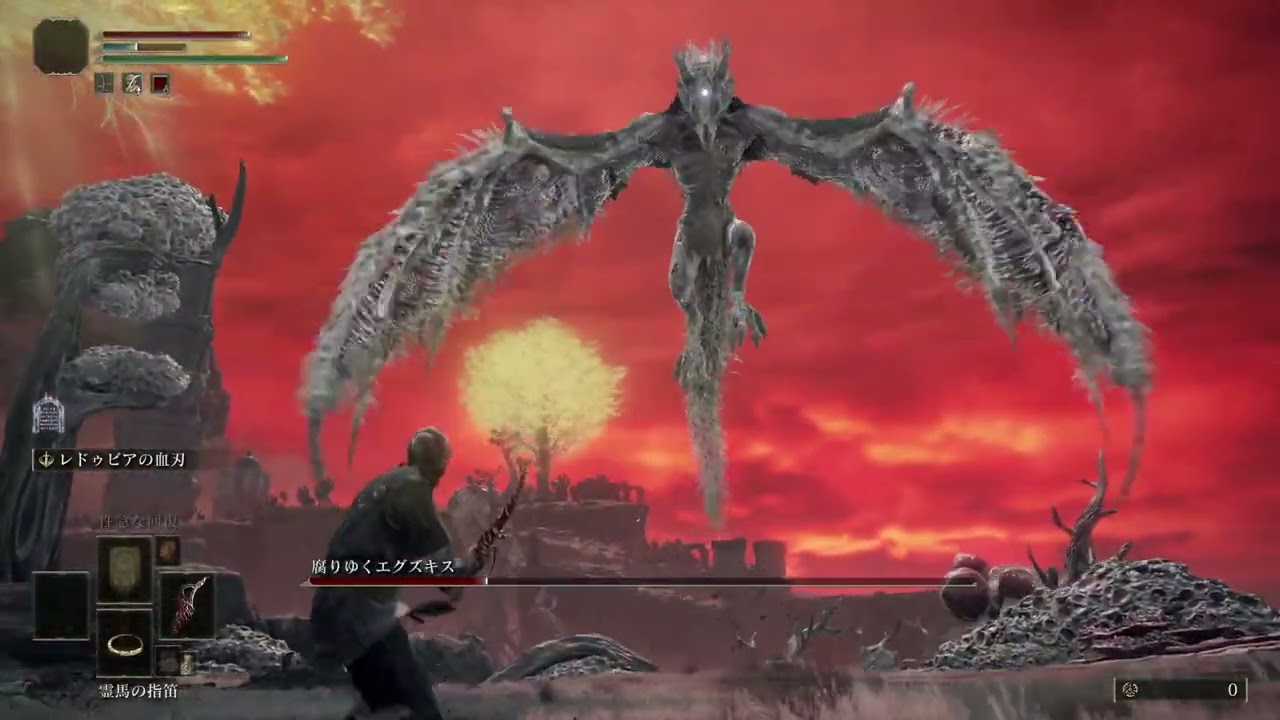 神秘特化 生放送中8時間戦い続けて… 【腐りゆくエグズキス】 ELDEN