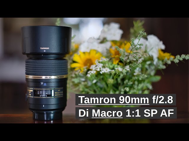 Tamron 90mm f/2.8 Di Macro 1:1 SP AF macro lens – a fun one! - YouTube