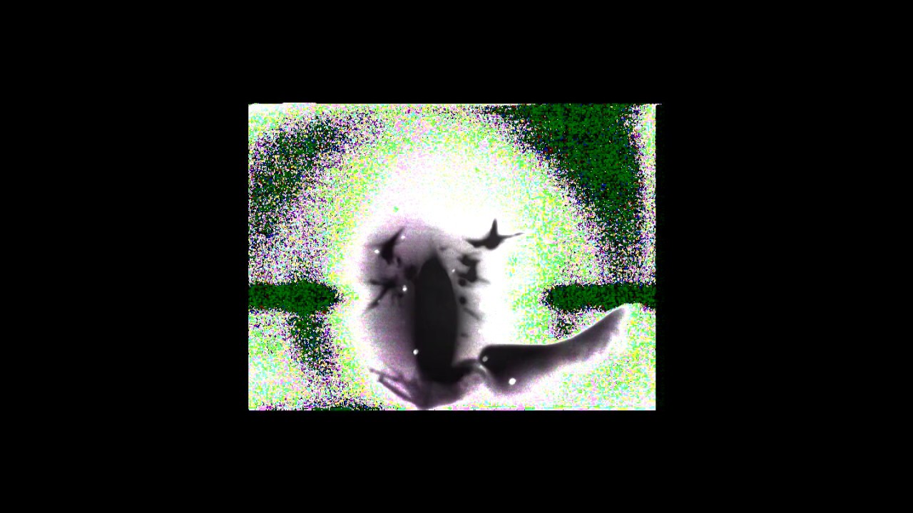 Album Review | Slauson Malone – A Quiet Farwell, Twenty Sixteen to