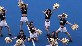 社会人チア】オープニングパフォーマンス 20240713 - YouTube