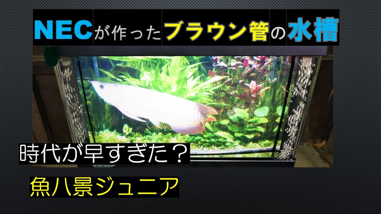 ブラウン管で魚が飼える？】 バーチャル水槽に果敢に挑戦した「NEC魚
