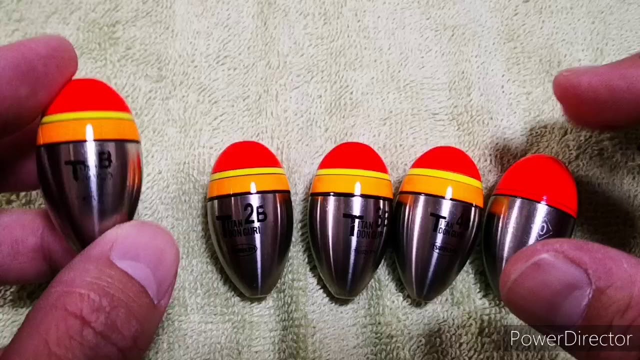 どんぐり 10000個 12月採取 水洗い 煮沸処理 陰干し 砲弾型 即日発送