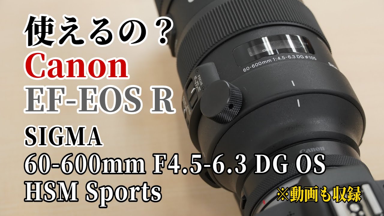 使えるの？】キヤノン マウントアダプター EF-EOS Rでシグマ 60-600mm