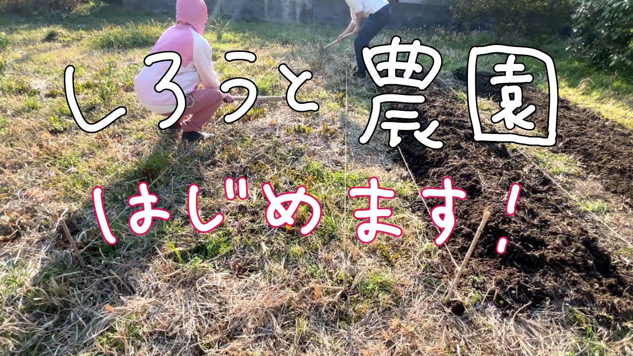 家庭菜園】素人が畑つくります！ - YouTube