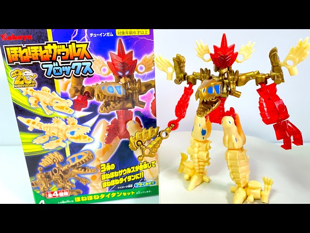 Honehone saurus Blocks8 