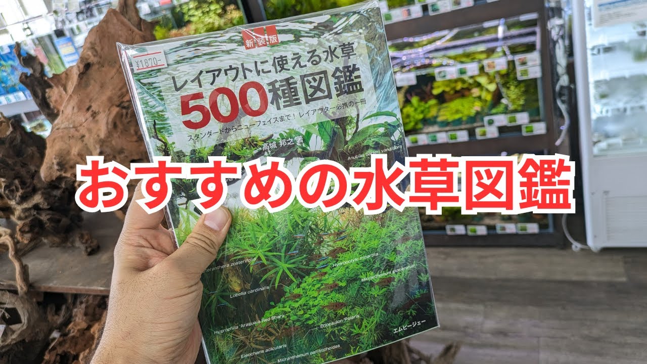 This is an aquatic plant encyclopedia you'll want to keep on hand