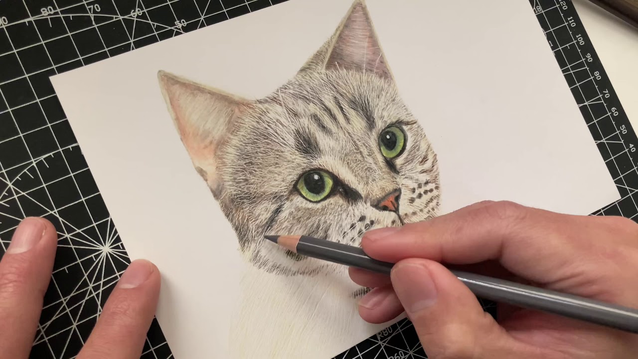 リアル猫】鉄筆、プリズマカラー(カリスマカラー)色鉛筆で猫の書き方