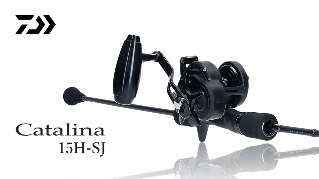 ダイワ ベイトリール キャタリナ 15H 2019年モデル (右巻)(15H