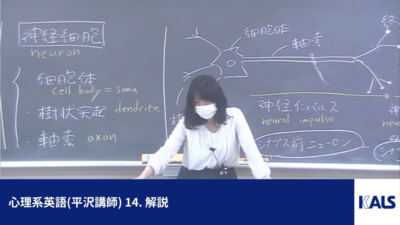 心理系英語（平沢講師） 第1講 - 14. 解説 | 公認心理師・臨床心理士