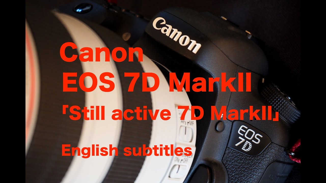 写真家 泉 悟朗 Canon EOS 7D MarkII 「Still active 7D MarkII