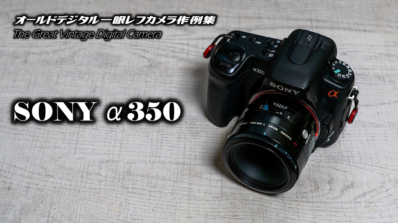 オールドデジタル一眼レフカメラ作例集 The Great Vintage Digital