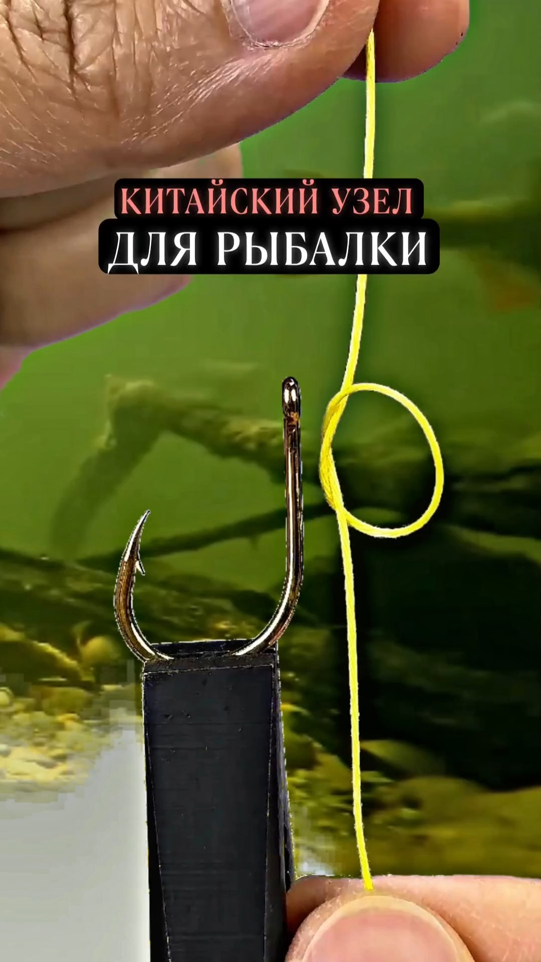 Haruhiko Murakami gives a live commentary on the 2025 model