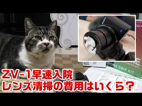 10万のカメラの修理費は？】ZV-1を購入3週間でいきなり入院☆クリーム