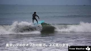 創業25周年記念新春CP】「ThreeWeather」FISH サーフボード 5'8 1名様