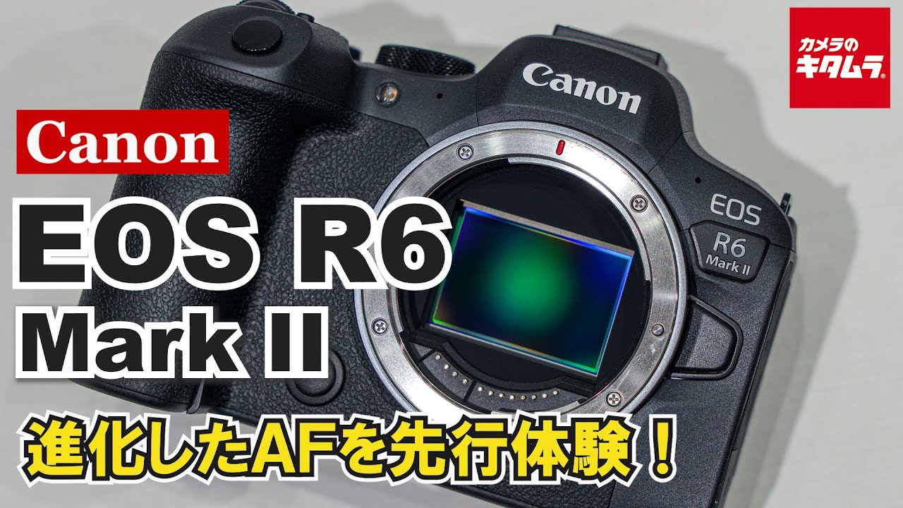 キヤノン EOS R6 Mark II 登場！｜素早い動きに対応する有効約2420万
