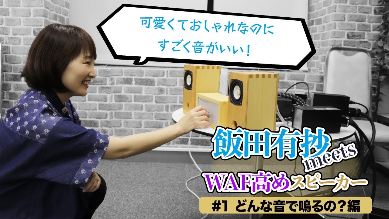 試聴！】「MICRO_NC4 ピーラーコンビネーション」飯田有抄 meets WAF