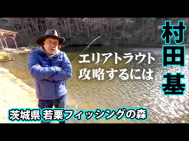 Conquer the managed fishing grounds where you can catch big trout