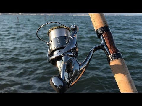 18 Stella I don't need any other reels. [Impressions] - YouTube