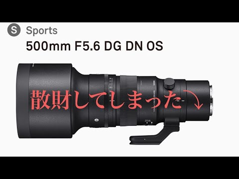 野鳥撮影オススメ‼️単焦点超望遠SIGMA500mm F5.6 DG DN OSを散財しま