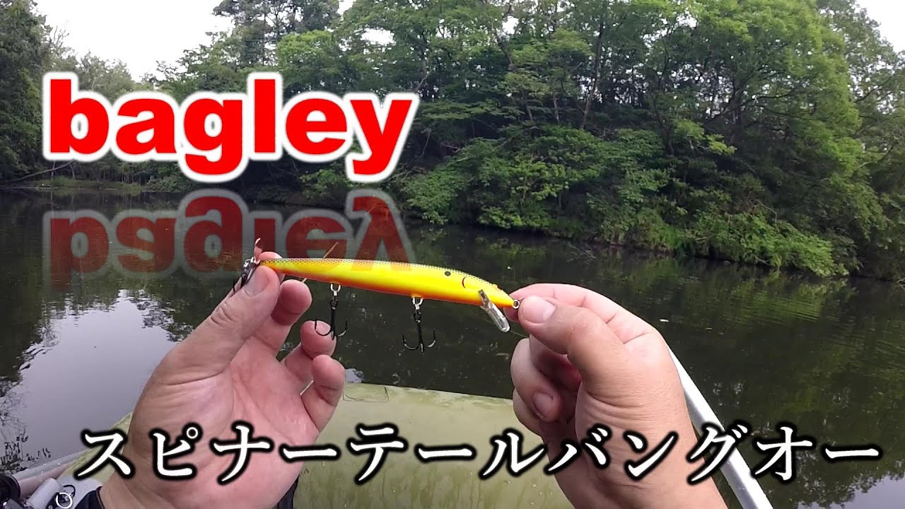 bagley】スピナーテールバングオー 『バグリー』 - YouTube