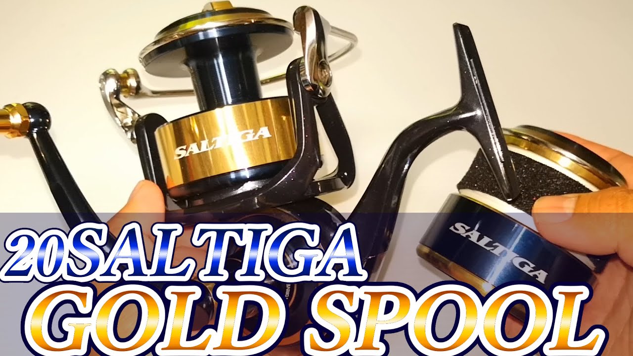 The strongest reel that shines gold. I bought a 20 Saltiga with a