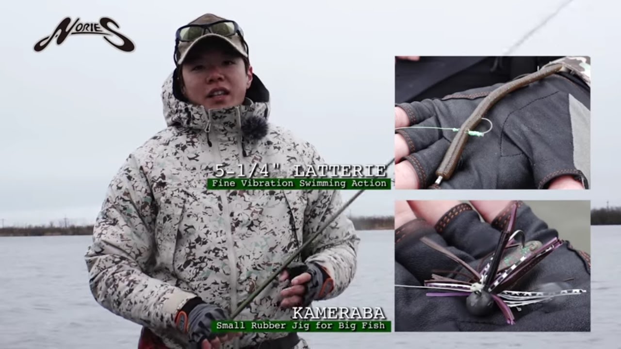 5-1/4″ LATTERIE | BASS | NORIES