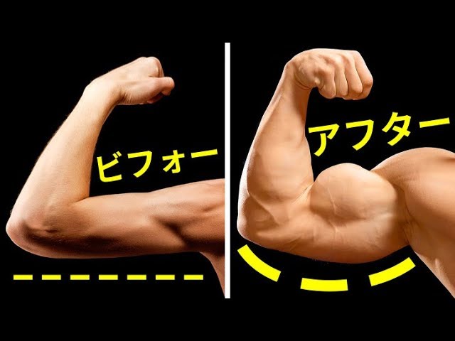 自宅で上腕二頭筋をバルクアップ！7つのグレートエクササイズ！ - YouTube