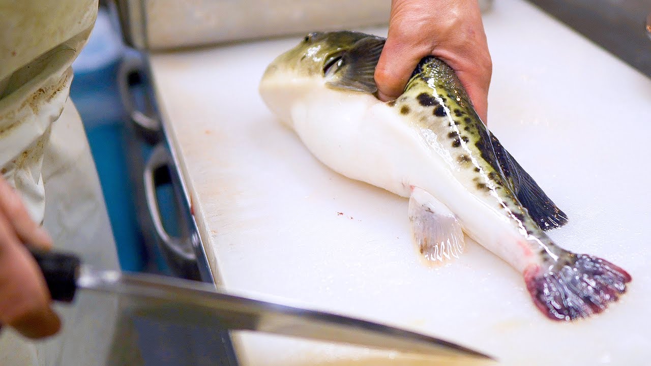 Amazing cutting skills in Japan!Moving blowfish fillets are a