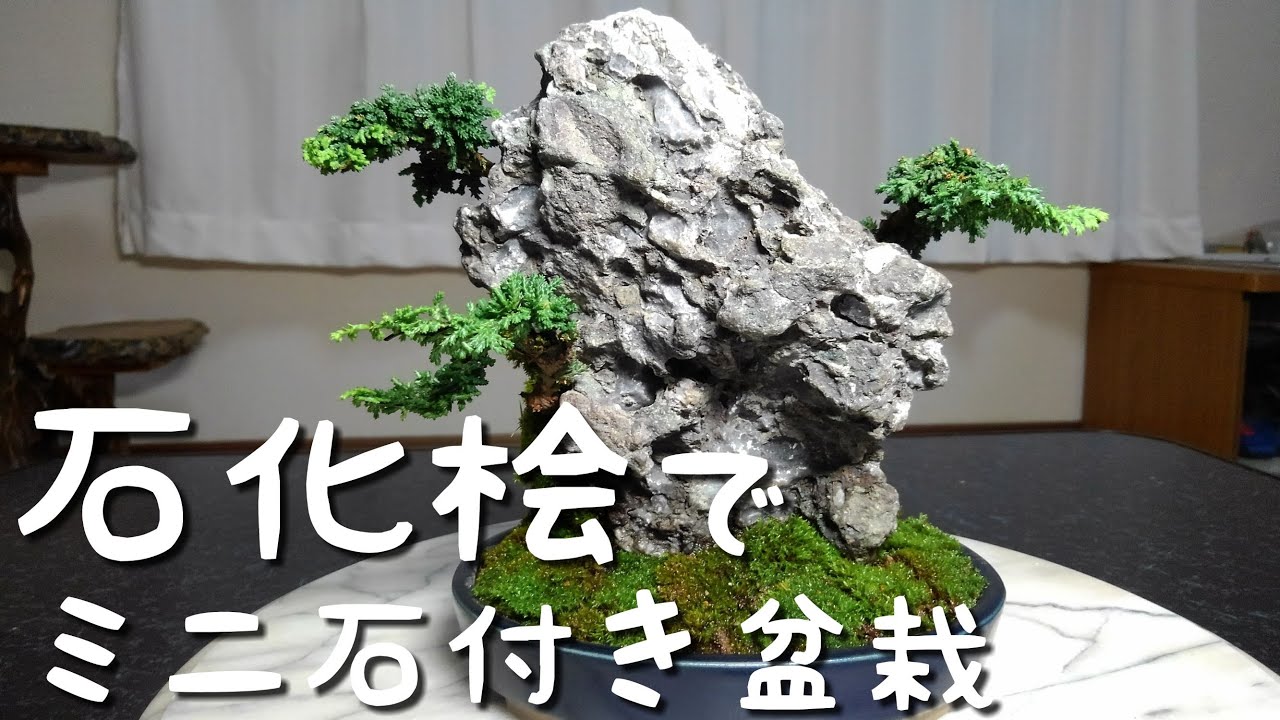 石化桧でミニ石付き盆栽（盆栽・初心者の方向け） - YouTube