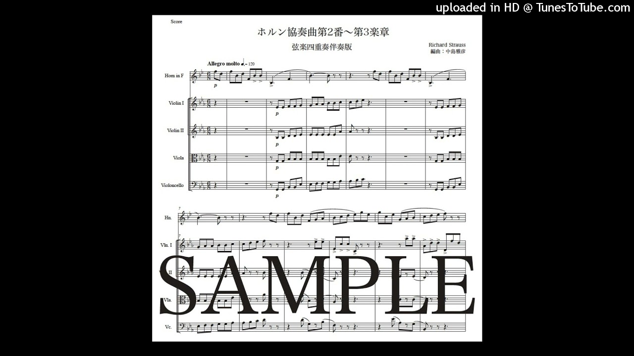 リヒャルト・シュトラウス「ホルン協奏曲第2番〜第3楽章」弦楽四重奏