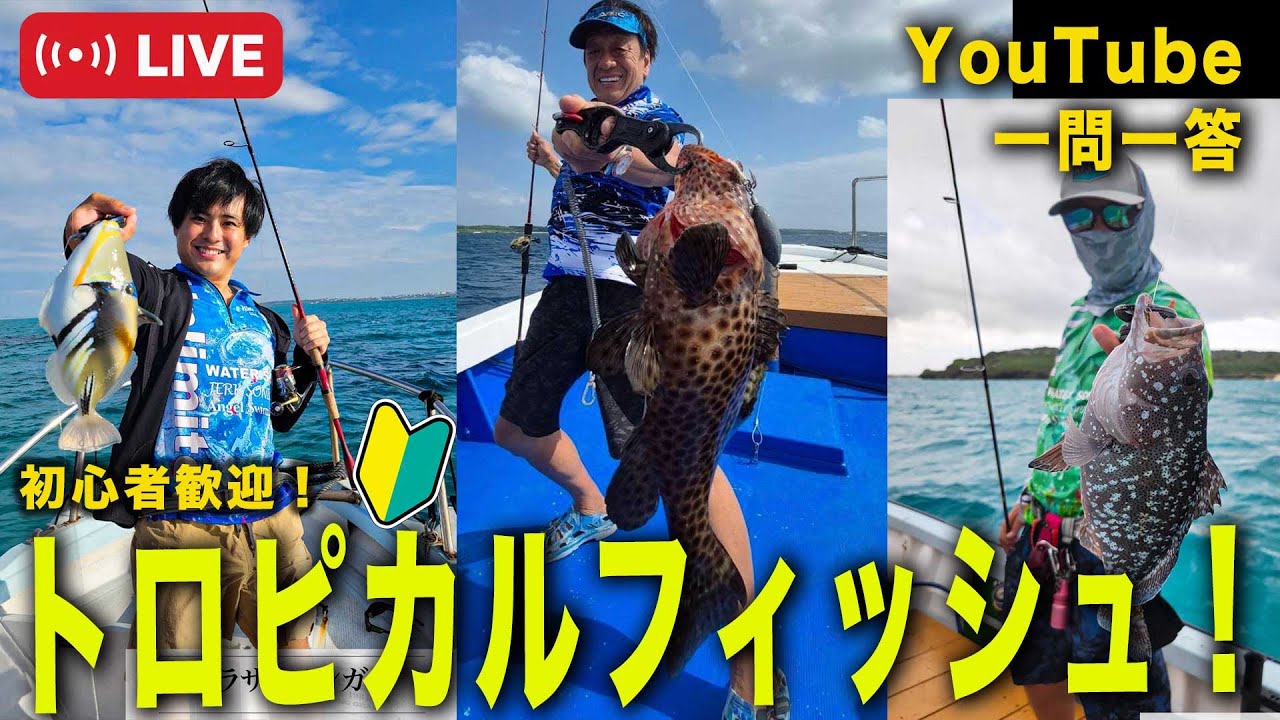 トロピカルフィッシュ！最高＠村田基 #釣り #沖縄 #ルアー - YouTube