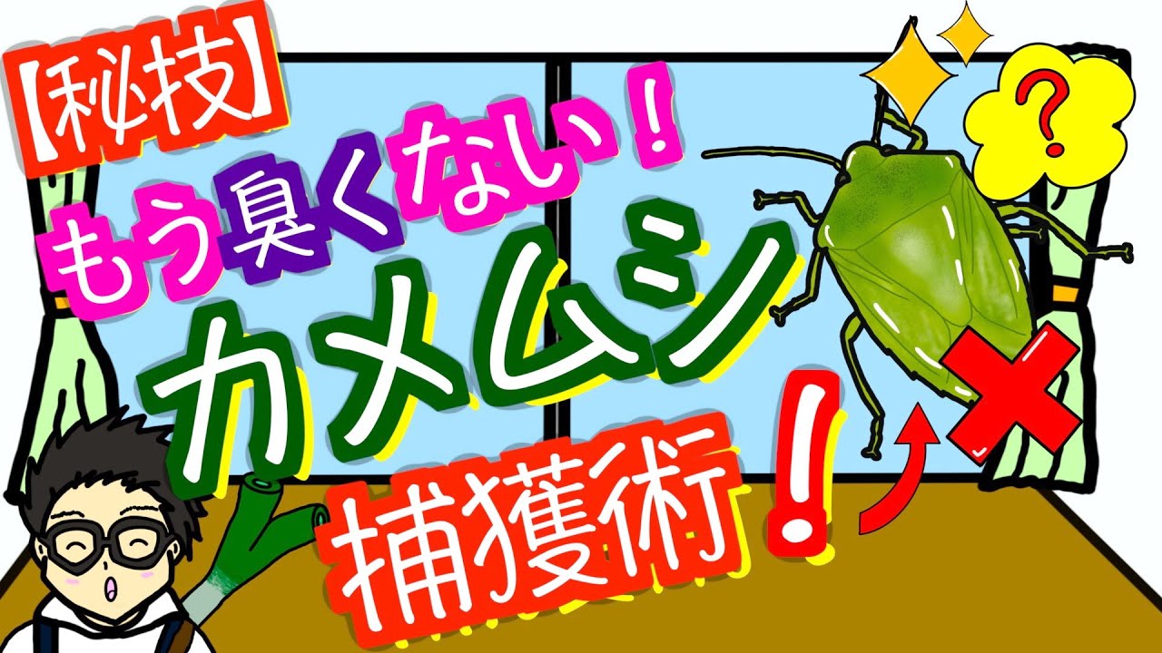 秘技】臭くならないカメムシの捕まえ方【アニメでわかる家庭菜園お