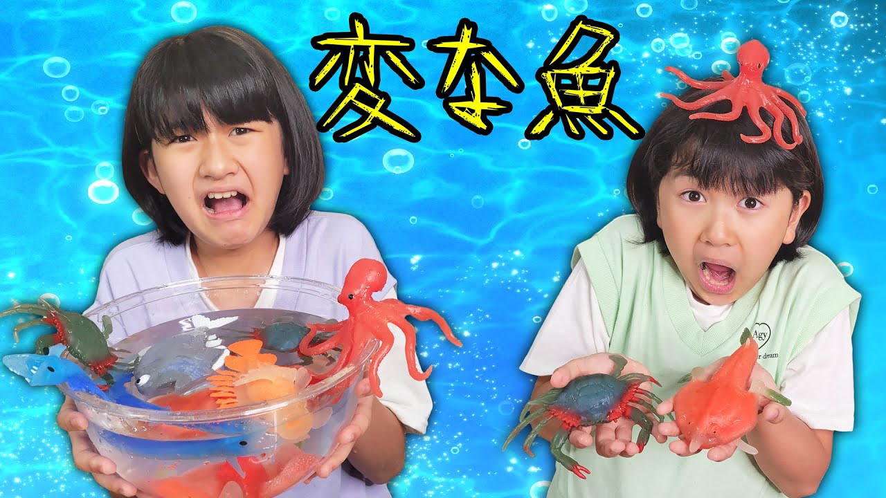 お腹の中に食べたものが入ってる～＞＜リアルなお魚☆オーシャン