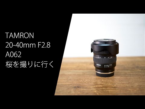 TAMRON 20-40mm F2.8 A062 で桜を撮りに行きました #初使用 #レンズ