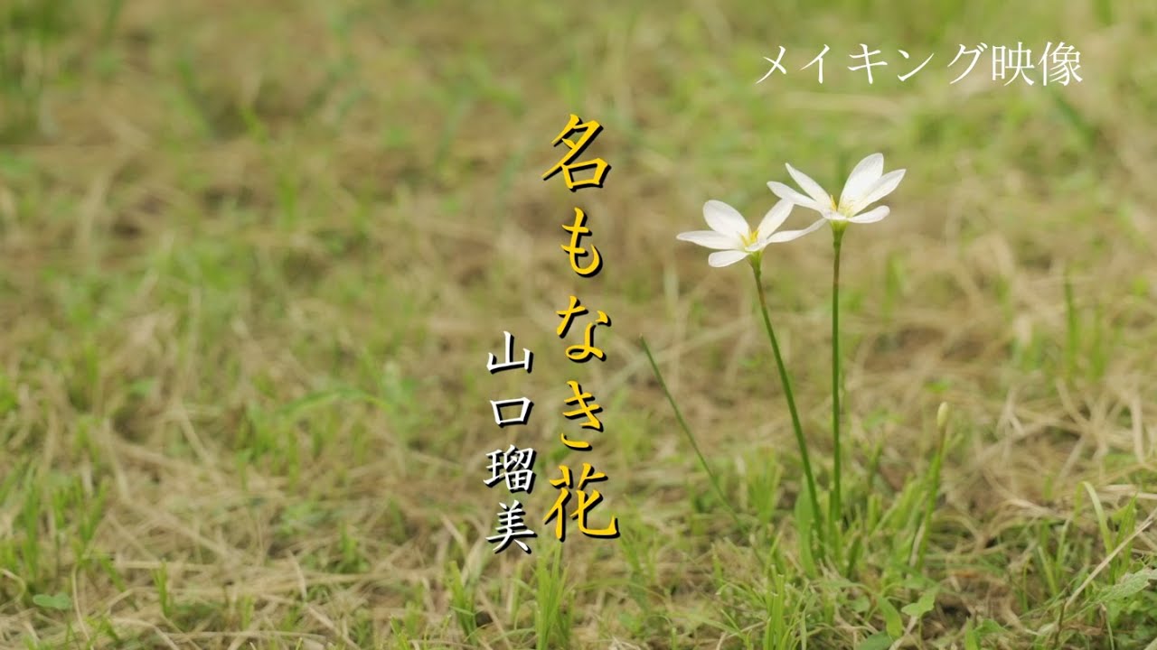 名もなき花 - YouTube