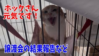 Director's House] Maybe that pet will be at the next adoption