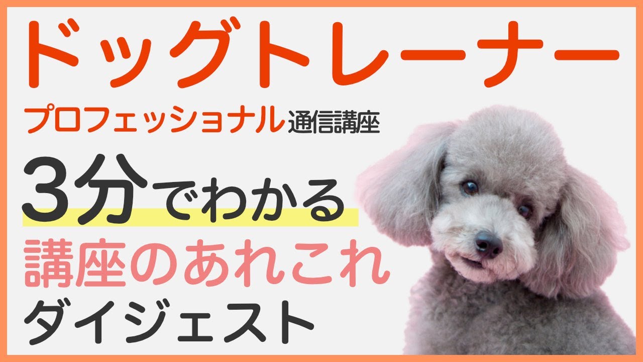 ドッグトレーナー講座|通信教育講座で資格なら「ヒューマンアカデミー