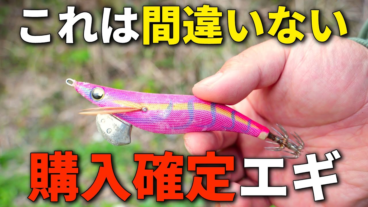 長年待ったカラーがついに！春イカエギング実績最強エギの、爆釣確定