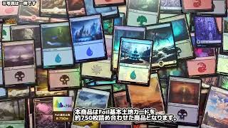 Foil基本土地 約750枚 | 日本最大級 MTG通販サイト「晴れる屋」