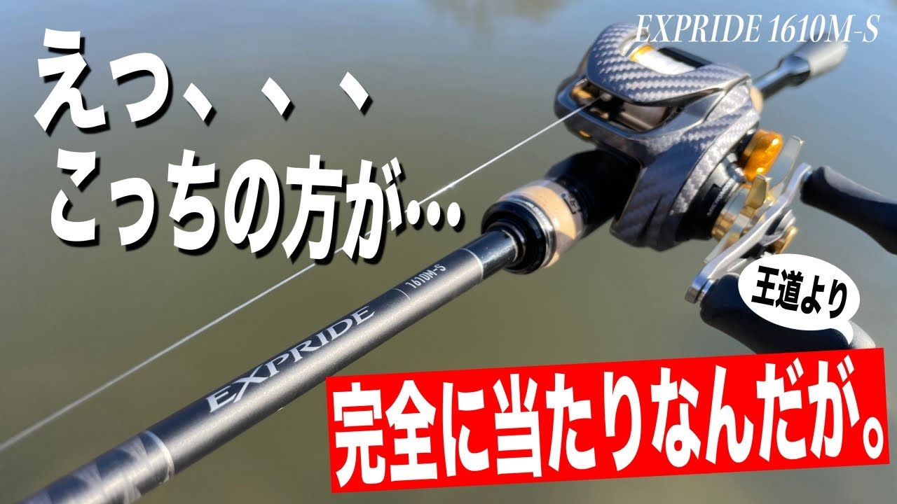 はっきり言います、王道ロクテン買うよりこっち買え！！【22エクス
