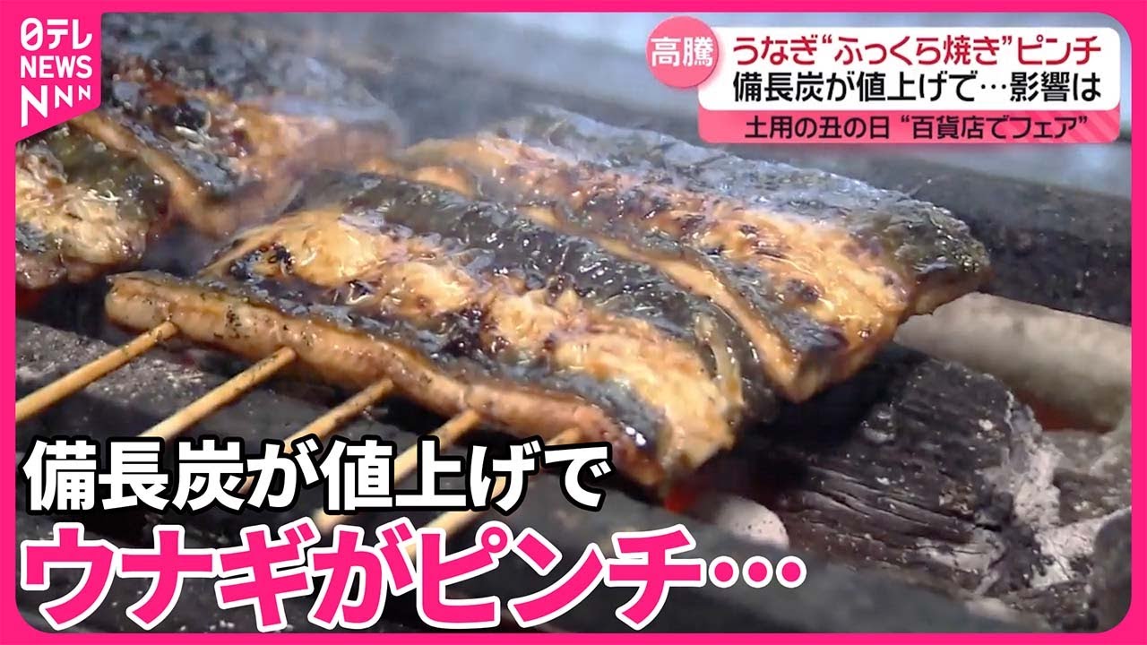 ウナギがピンチ】備長炭が値上げで… 焼き鳥店も困惑 - YouTube