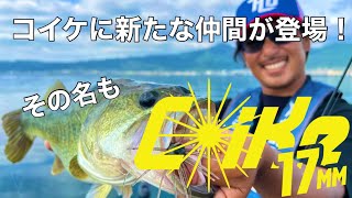 コイケ17mm HIDEUP ハイドアップ