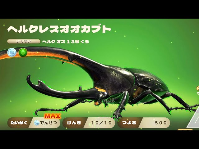 カブトクワガタ - ヘルクレスブラック 黒いヘルクレスオオカブト 新