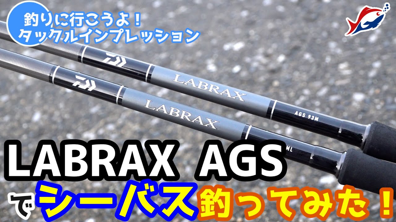 シーバス釣りin荒川】ダイワ新製品「ラブラックスAGS」実釣