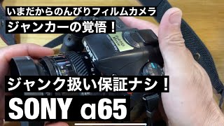 №304 SONY α65ジャンカーの賭け！ジャンクなカメラは動くのか？ - YouTube