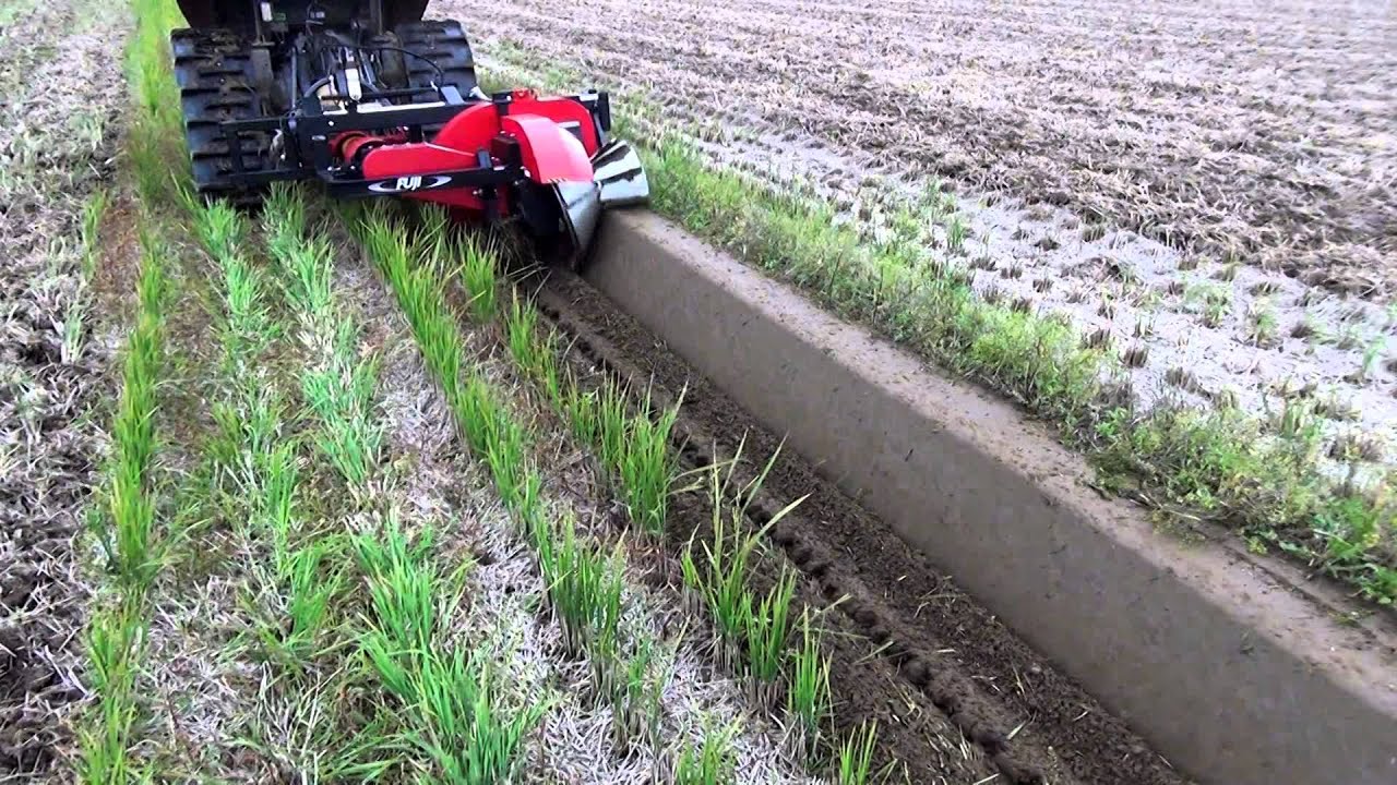 maxresdefault.jpg?sqp=-