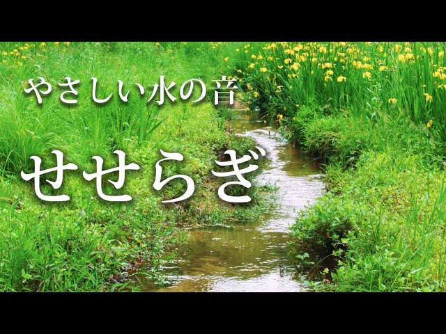 水の音・自然音・川のせせらぎ】やさしい水の音・せせらぎ／癒しの音