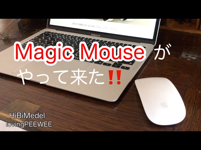 Magic Mouseが、やって来た‼️ - YouTube