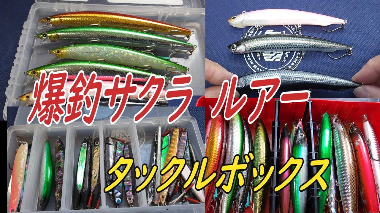 2025年爆釣サクラマス ルアーに期待してますよ - YouTube